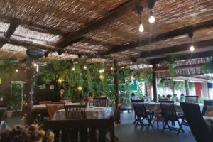 Agrocard&oacute;n Agricultura y Restaurante