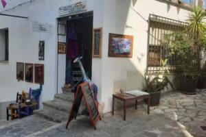 Al Delfin So&ntilde;ador