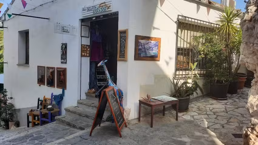 Al Delfin So&ntilde;ador