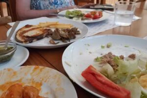 Albergue Pla del Riu