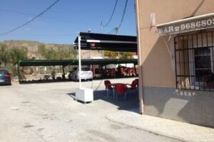 ALEGR&Iacute;A DEL SALADO