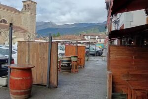 Alejandro Amoedo Gomez