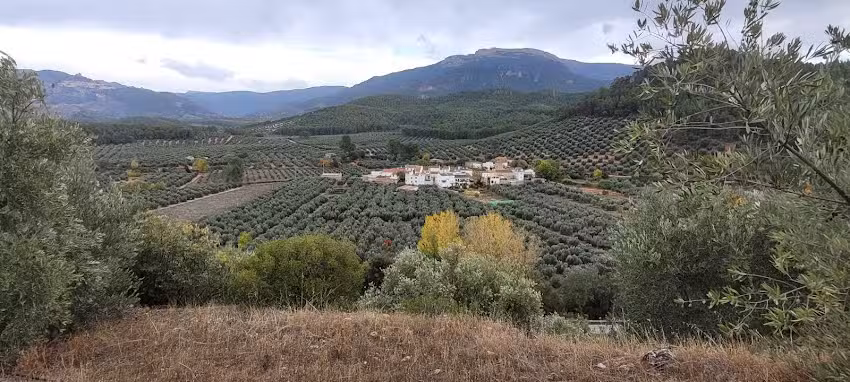 Alojamiento rural y Restaurante La Tin&aacute;