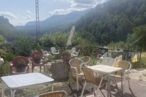 APANEM gastrobar DESPACHO PAN