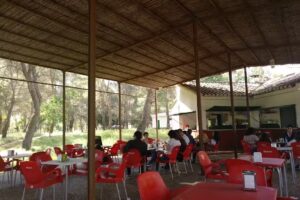 Area Recreativa Los Ejidos