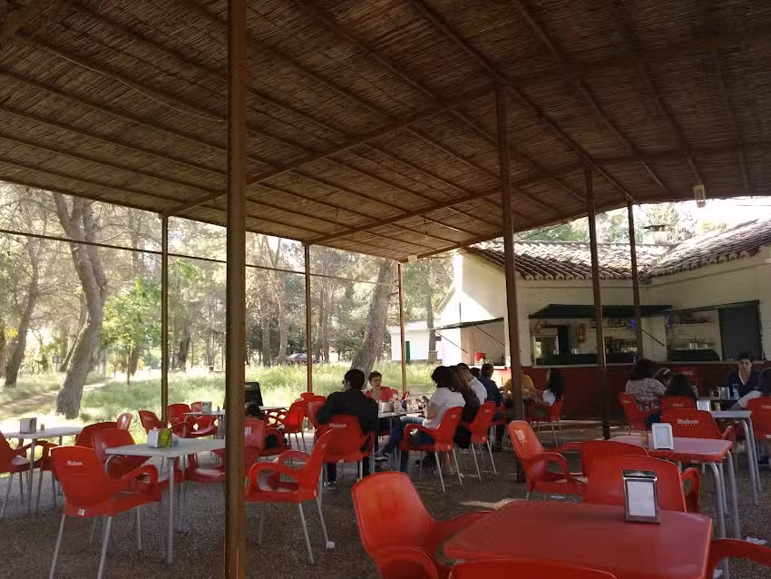Area Recreativa Los Ejidos