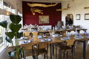 Arrels de Can Valldaura