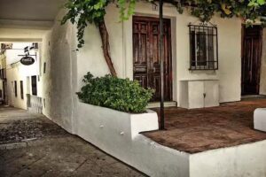 Asador de Pollos Campa&ntilde;a I (Cruz De La Aurora)