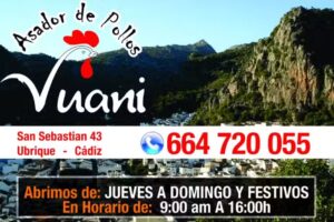 Asador de pollos Juani