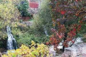 Asadores de la pasarela