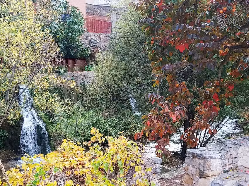 Asadores de la pasarela