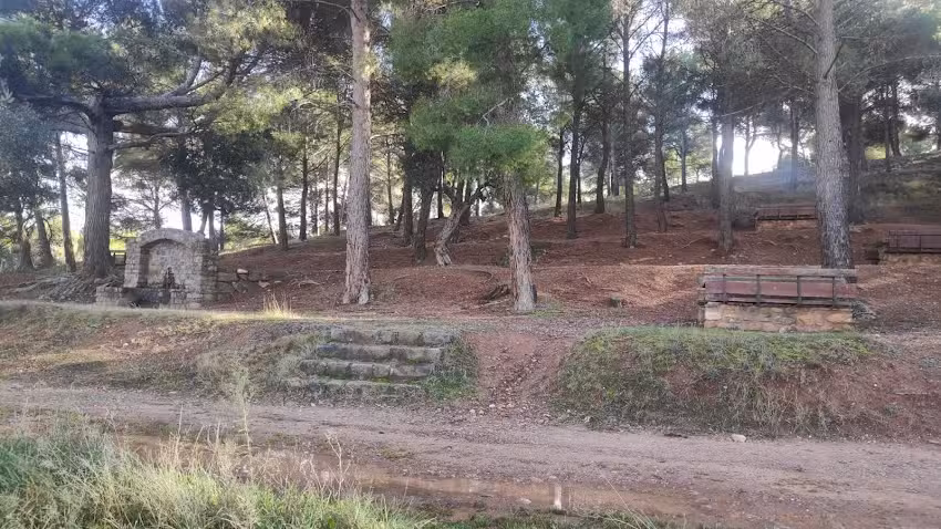 Asadores Monte de Vico