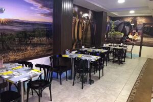 Baba kebab oca&ntilde;a