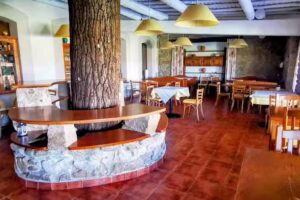 Balneario de Almeida La Dama Verde