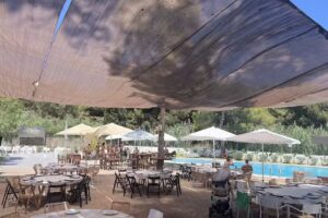 Bamb&uacute; Campoamor