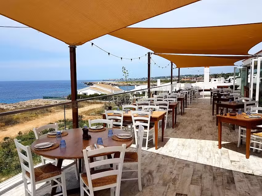 Bambu Menorca