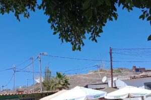 Bar Cafeter&iacute;a Arida&ntilde;i | Aut&eacute;ntica Comida Canaria