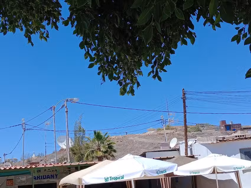 Bar Cafeter&iacute;a Arida&ntilde;i | Aut&eacute;ntica Comida Canaria