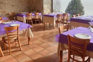 Bar Cafeter&iacute;a Veracruz