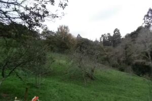 Bar Casa Tista Restaurante S.L.