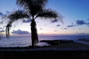 Bar Centro Socio Cultural De Guinate