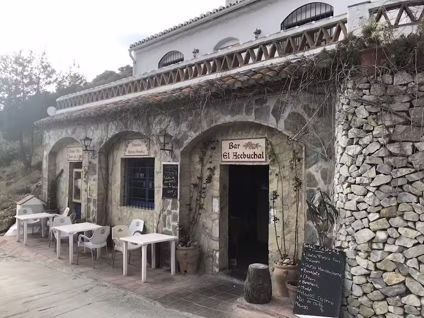 Bar El Acebuchal