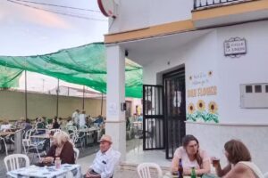 Bar flores