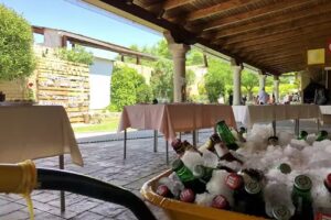 Bar Merendero Slogan