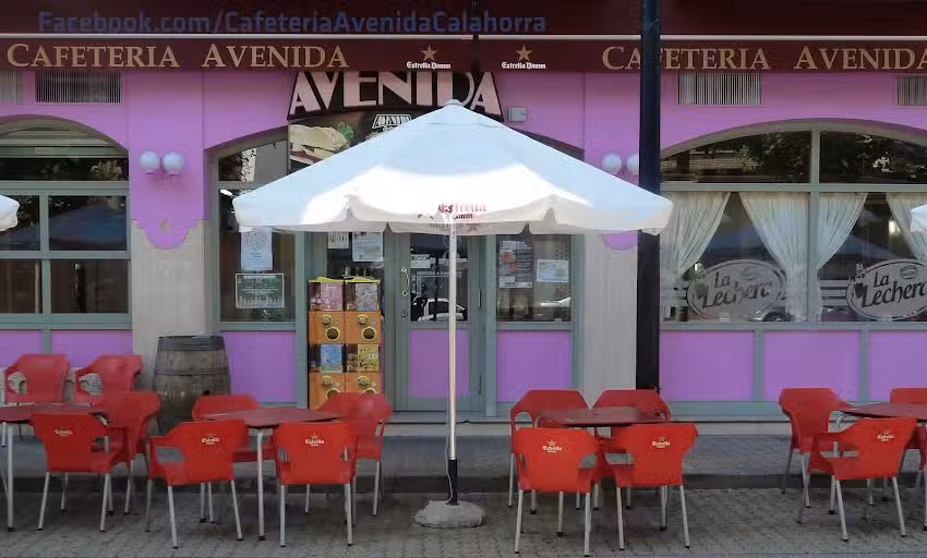 Bar Palomo