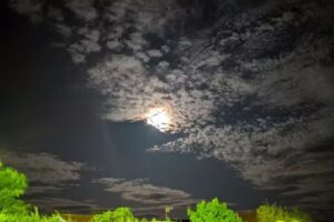 Bar Piscina Paradise