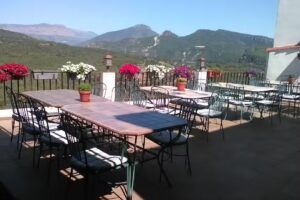 Bar Restaurant La Penya