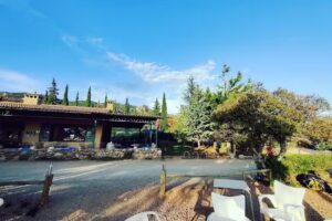 Bar Restaurante Camping