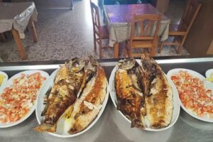 Bar Restaurante Paquera