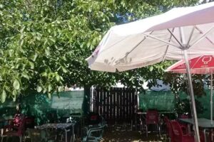 Bar Taper&iacute;a Jose