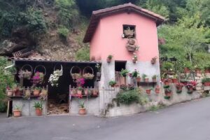 BAR TIENDA DEGUSTACIÓN CASA RAMON