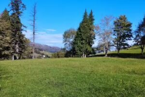 Barbacoa entre Asteasu y Aia