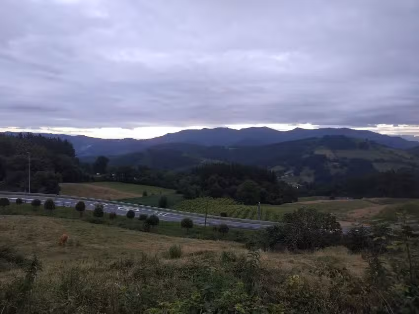 BATZARKIDEEN ANTZINAKO OSTATUA SL