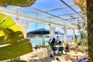 Beewi Puerto Portals