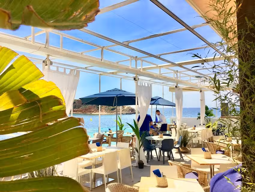 Beewi Puerto Portals