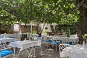 Bella Verde &ndash; Restaurante Vegano en Puerto de Pollen&ccedil;a, Mallorca