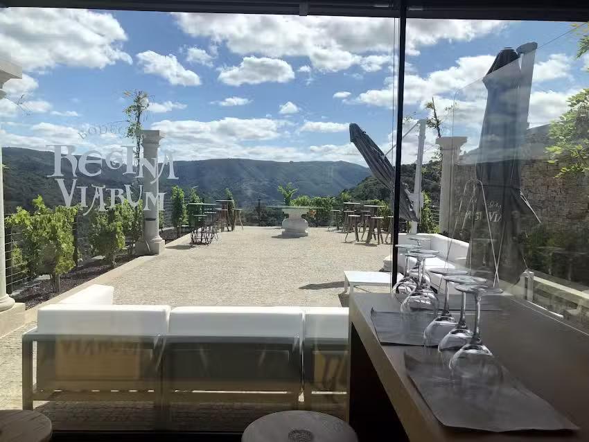 Bodegas Regina Viarum