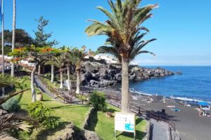 Bombay Babu Playa La Arena