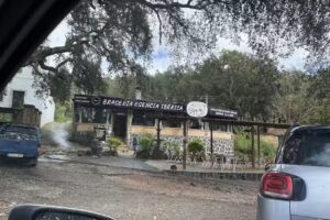 Braseria esencia ib&eacute;rica