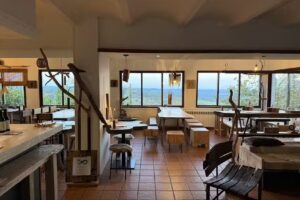 BUENA VISTA CLUB SOCIAL