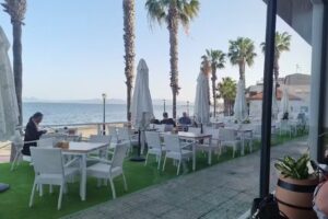 Buena vista restaurante bar & grill