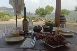 Buil & Gin&eacute; Wine Co. S.L.