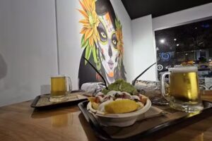 BURRITOS &ndash; Ramon Llull