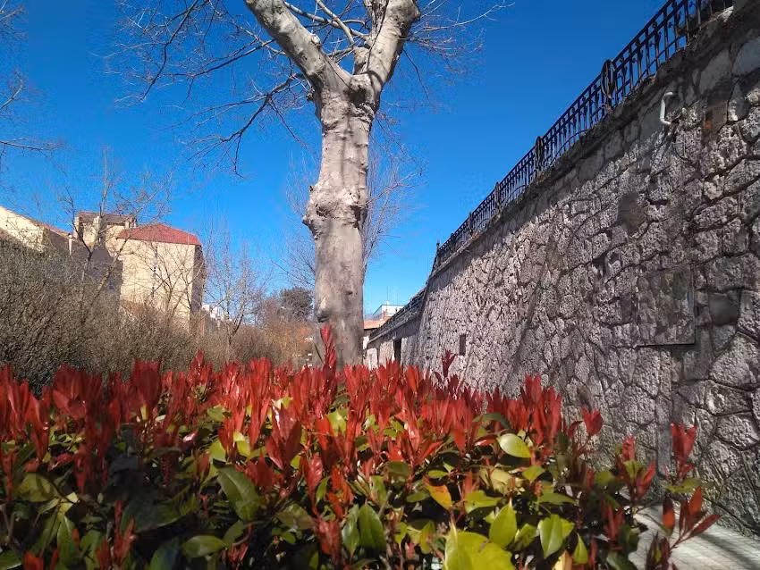 Caf&eacute; Bar Azalea