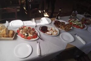 CAF&Eacute; BAR El bayo