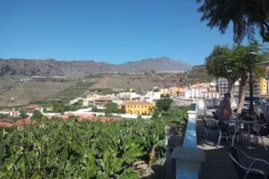 Caf&eacute; gorgonia